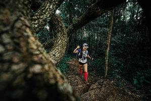 BIB: 
                            <button type="button" onclick="openModal(25704223)" class="btn btn-primary btn-sm float-right btn-popup" data-toggle="modal" data-target=".modal-high-quality">
                        <i class="fas fa-shopping-cart"></i> Add to Cart
                    </button>
                                            <button type="button" onclick="isThisMe(25704223, true)" class="btn btn-success btn-sm float-right btn-popup btn-isme hidden" data-toggle="tooltip" data-placement="bottom" title="นี่คือรูปของคุณใช่ไหม คลิกที่นี่เพื่อเอาเข้าอัลบั้ม">
                        <i class="fas fa-plus"></i> Add to album
                    </button>
                    <button type="button" onclick="isThisMe(25704223, false)" class="btn btn-warning btn-sm float-right btn-popup btn-isnotme hidden">
                        <i class="fas fa-ban"></i> Remove from album
                    </button>